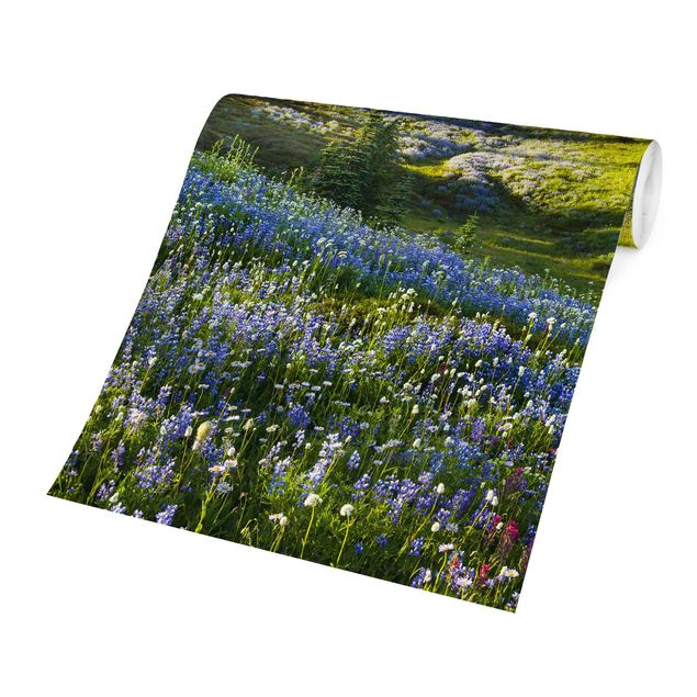 Tapeta w kwiaty Mountain Meadow With Blue Flowers in Front of Mt. Rainier