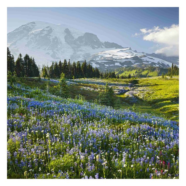 Rainer Mirau obrazy Mountain Meadow With Blue Flowers in Front of Mt. Rainier