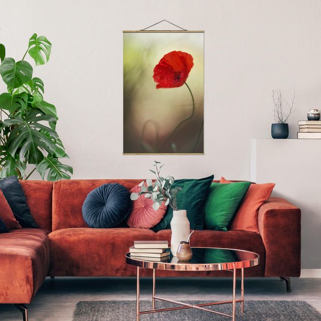Obrazy do salonu nowoczesne Kwiat maku w ogrodzie