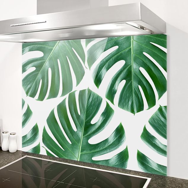 Dekoracja do kuchni Tropikalna Monstera o zielonych liściach