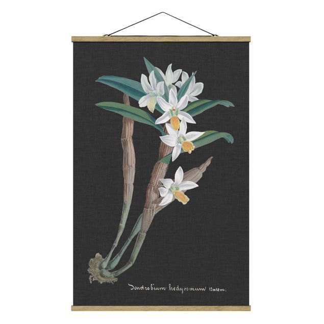 Obrazy vintage Biała orchidea na lnie I