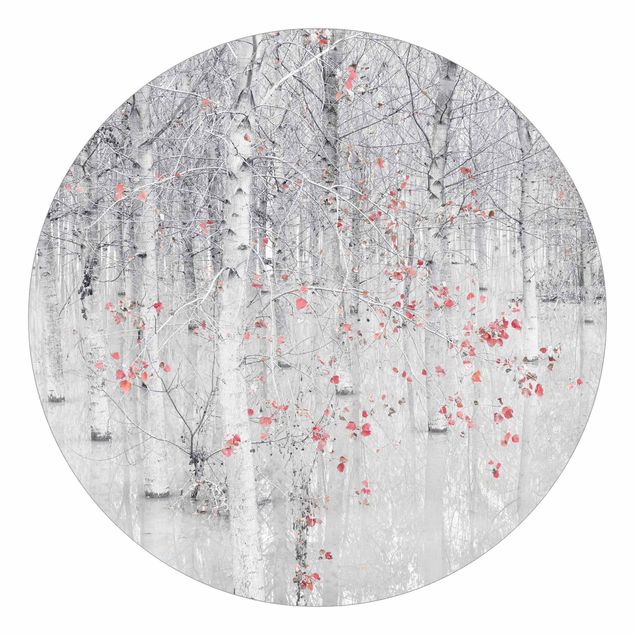 Okrągła tapeta samoprzylepna - Las brzozowy z różowymi liśćmi