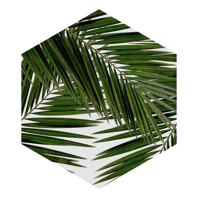 Sześciokątna tapeta samoprzylepna - Widok przez zielone liście palmy