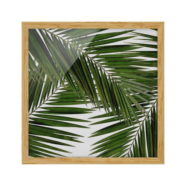 Obrazy w ramie do łazienki Widok przez zielone liście palmy