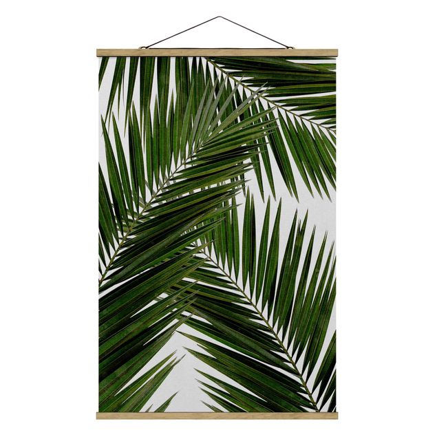 Obrazy krajobraz Widok przez zielone liście palmy