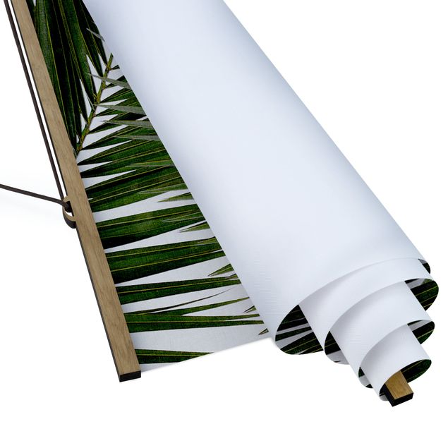 Zielony obraz Widok przez zielone liście palmy