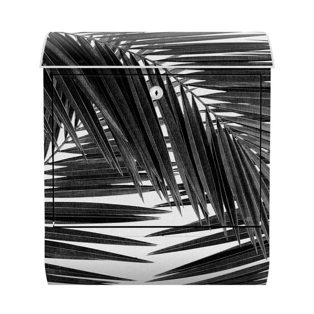 Skrzynka na listy - Widok na liście palmy, czarno-biały