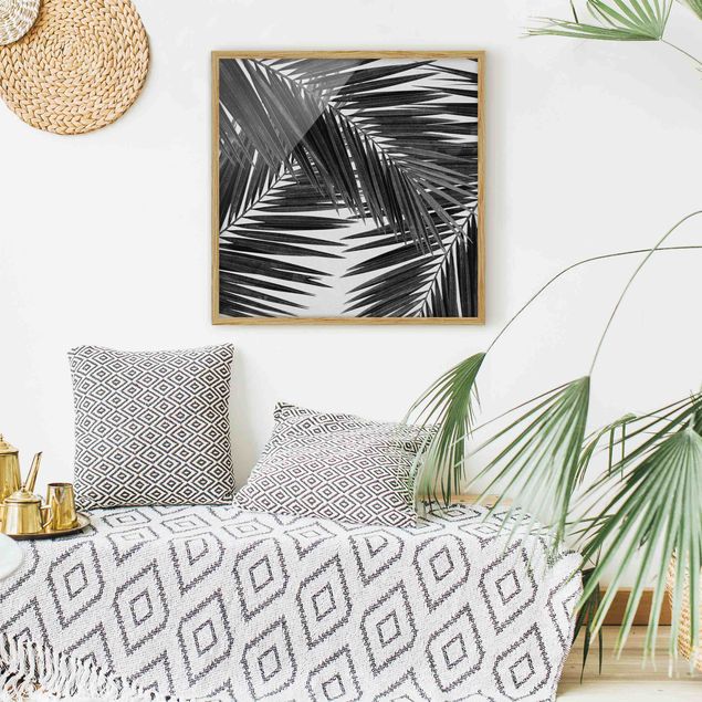 Obrazy w ramie krajobraz Widok na liście palmy, czarno-biały