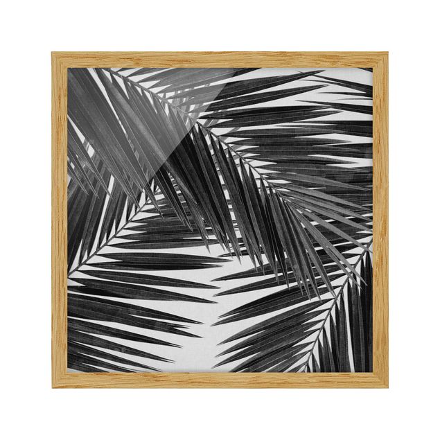 Obrazy w ramie do łazienki Widok na liście palmy, czarno-biały
