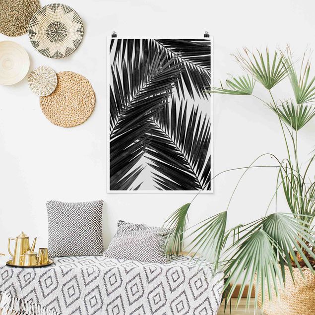 Obrazy do salonu nowoczesne Widok na liście palmy, czarno-biały