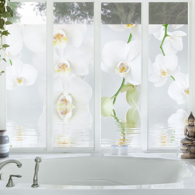 Folia okienna do sypialni Orchidea wellness - Orchidea biała