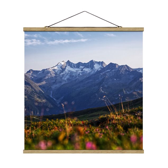Góry obraz Kwietna łąka w górach