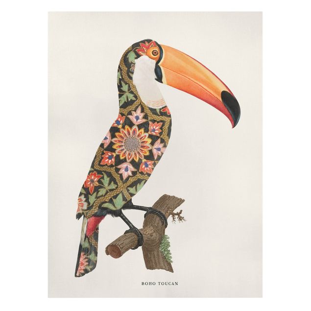 Obrazy ptaki na płótnie Boho Ptak - Tukan