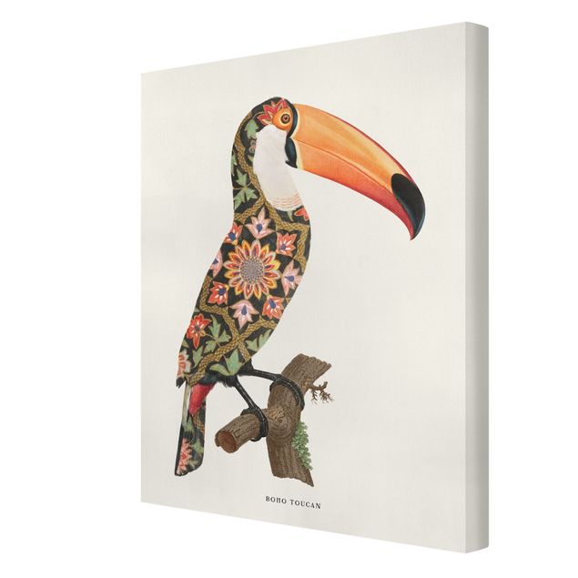 Obraz kolorowy Boho Ptak - Tukan