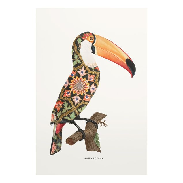 Obrazy zwierzęta Boho Ptak - Tukan