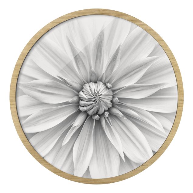 Obrazy z motywem kwiatowym Botanical Blossom In White