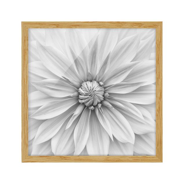 Obrazy w ramie do kuchni Kwiat botaniczny w kolorze białym