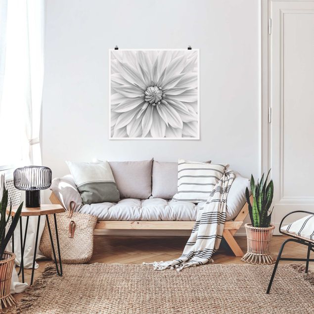 Obrazy do salonu nowoczesne Kwiat botaniczny w kolorze białym