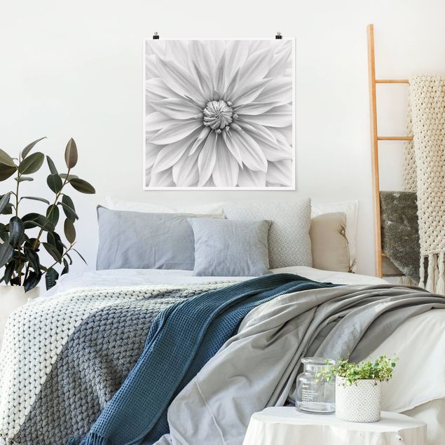 Nowoczesne obrazy Kwiat botaniczny w kolorze białym