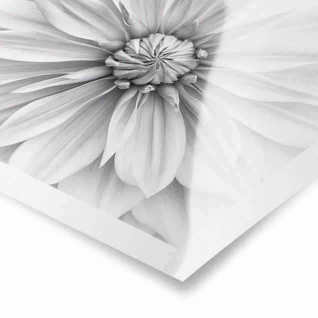 Obrazy na ścianę Kwiat botaniczny w kolorze białym