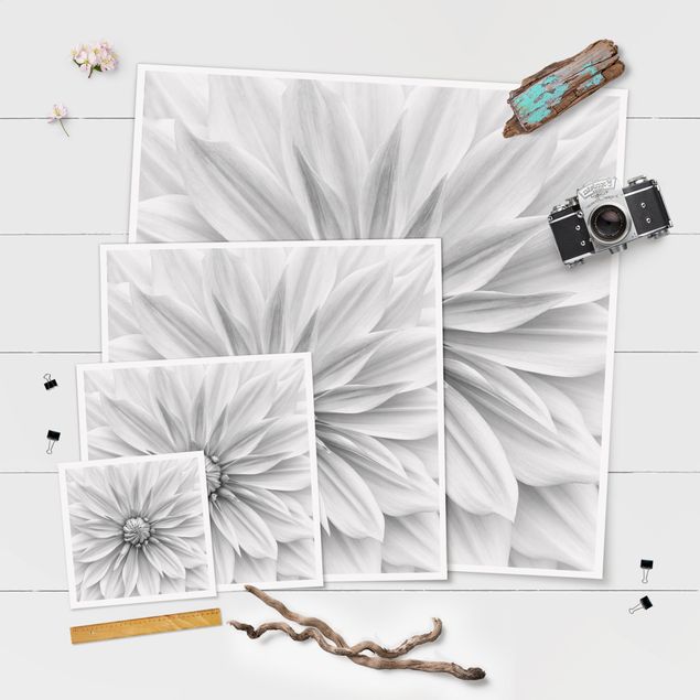 Plakat - Kwiat botaniczny w kolorze białym