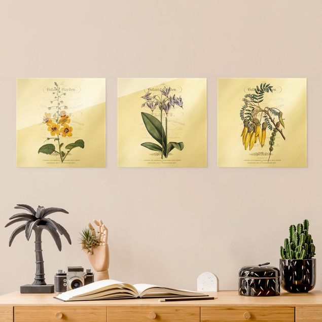 Obrazy na szkle kwadrat Zestaw tablic botanicznych I