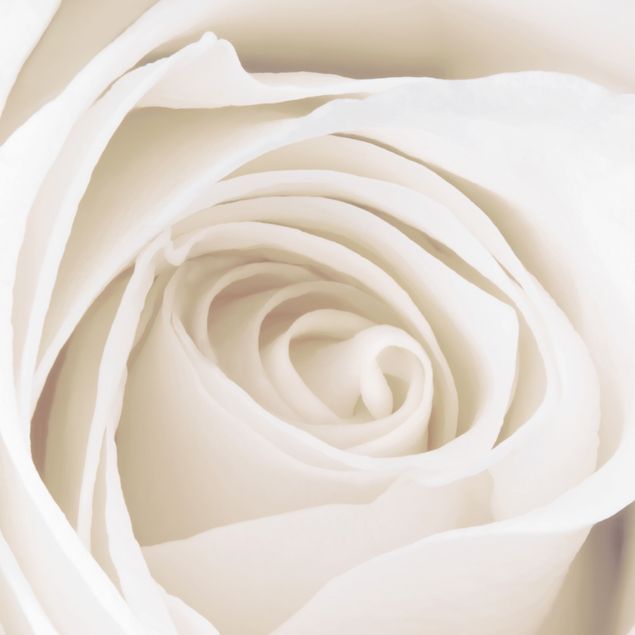 Skrzynka na listy - Piękna biała róża