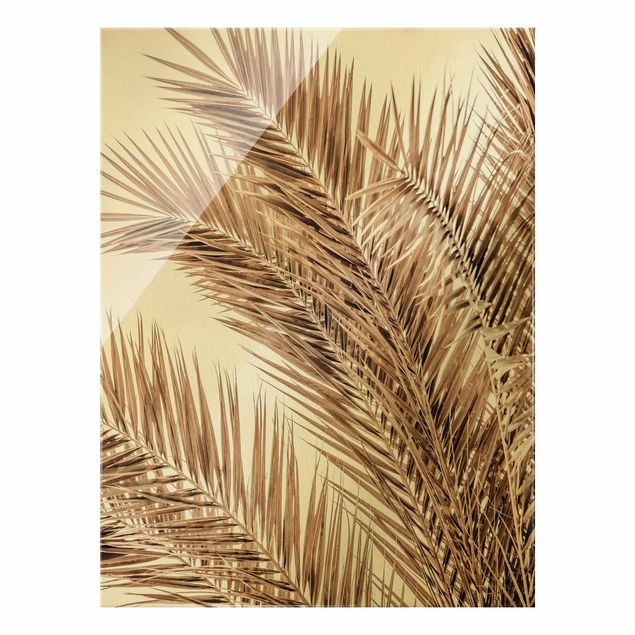 Obraz na szkle - Brązowe liście palmy