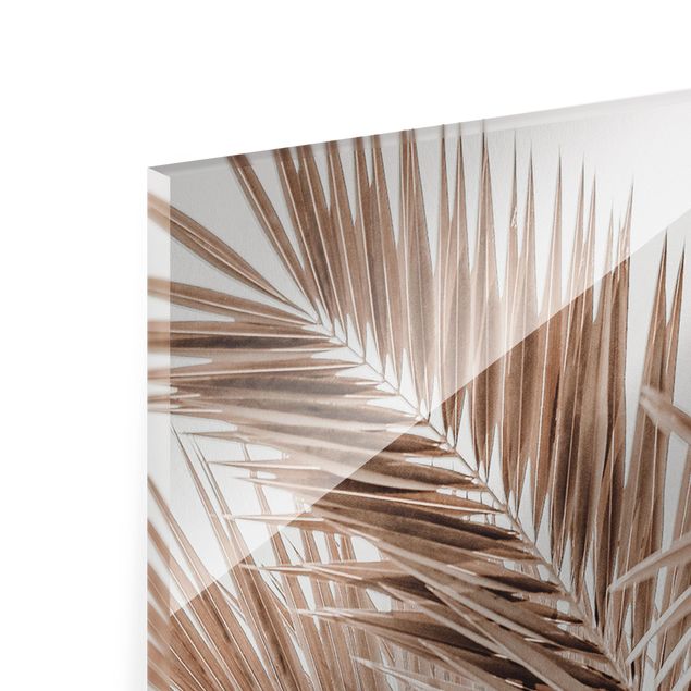 Obrazy krajobraz Brązowe liście palmy