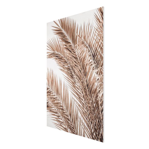 Nowoczesne obrazy Brązowe liście palmy