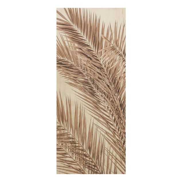 Obrazy Brązowe liście palmy