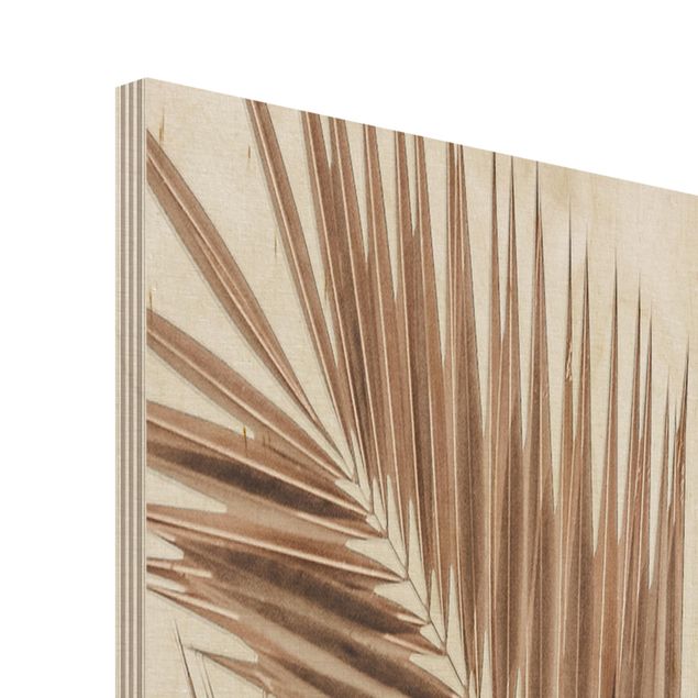Obraz z drewna - Brązowe liście palmy