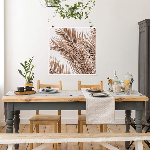 Obrazy nowoczesne Brązowe liście palmy