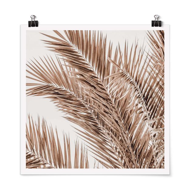 Obrazy krajobraz Brązowe liście palmy