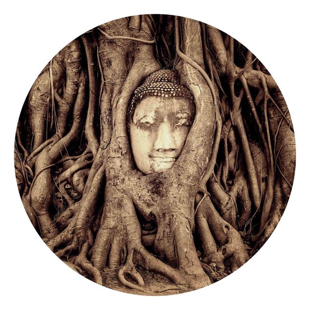 Tapety Budda w Ayutthaya otoczony korzeniami drzew w kolorze brązowym