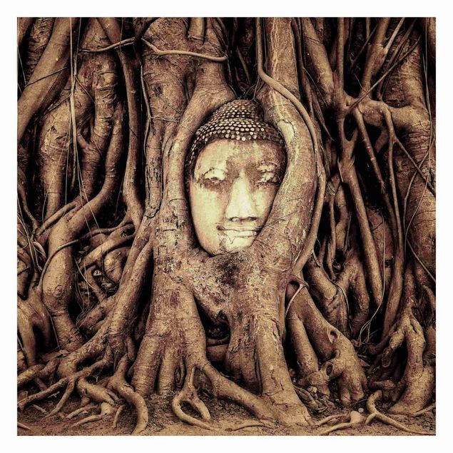 Fototapeta - Budda w Ayutthaya otoczony korzeniami drzew w kolorze brązowym