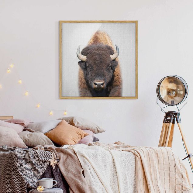 Obrazy w ramie zwierzęta Buffalo Bertram