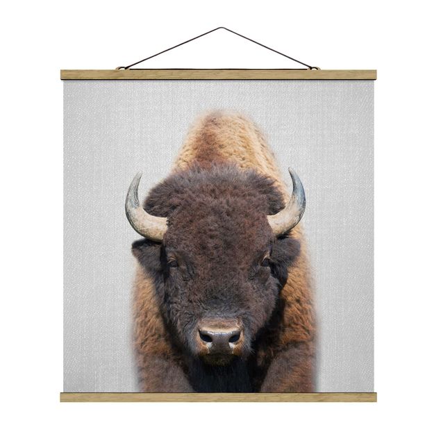 Obrazy zwierzęta Buffalo Bertram