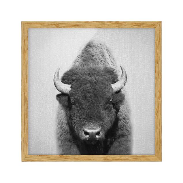 Obrazy do salonu nowoczesne Buffalo Bertram Black And White