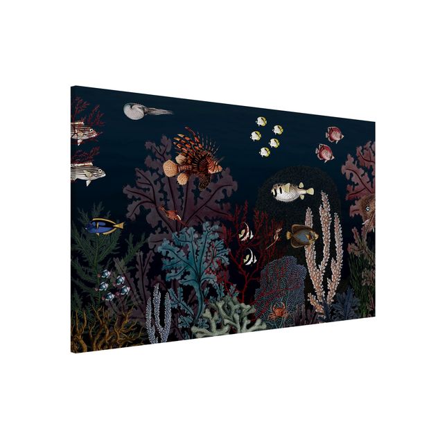 Obrazy do salonu Kolorowa rafa koralowa nocą