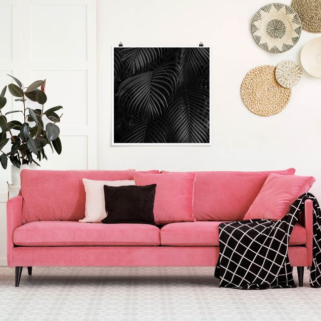 Obrazy nowoczesny Czarne liście palmy