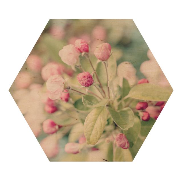 Obraz różowy Kwiat jabłoni bokeh różowy