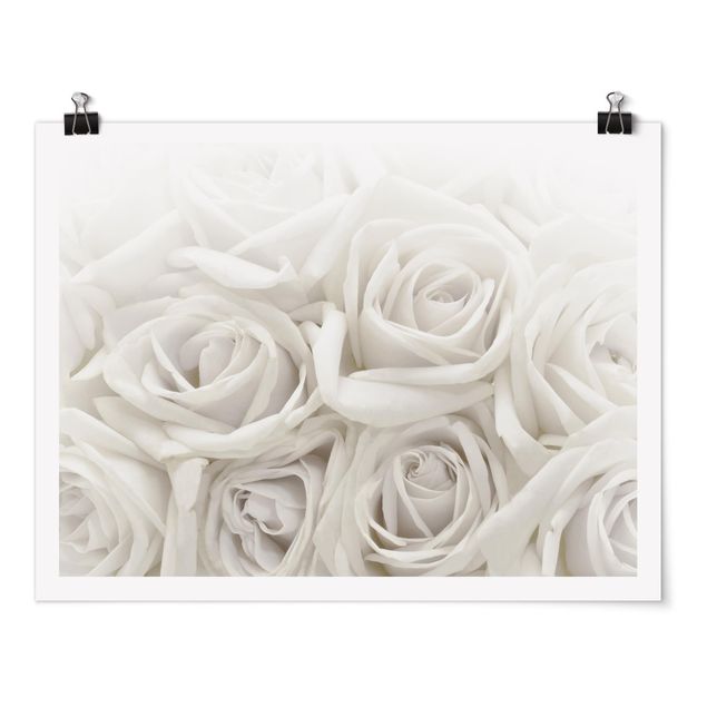 Obrazy z motywem kwiatowym Białe róże