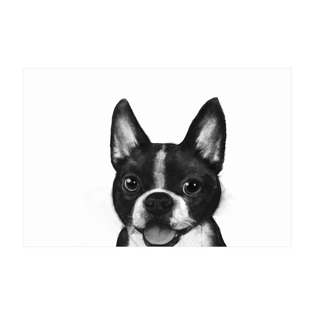 duży dywan Ilustracja pies Boston czarno-biały Painting