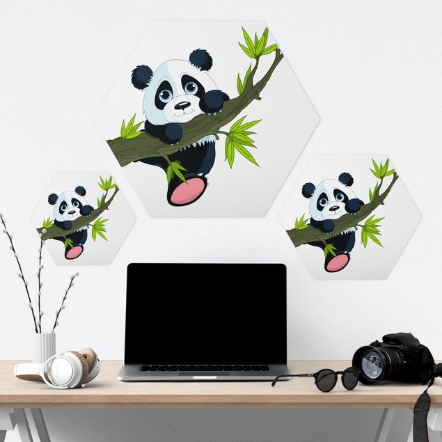 Sześciokątny obraz Panda wspinająca się
