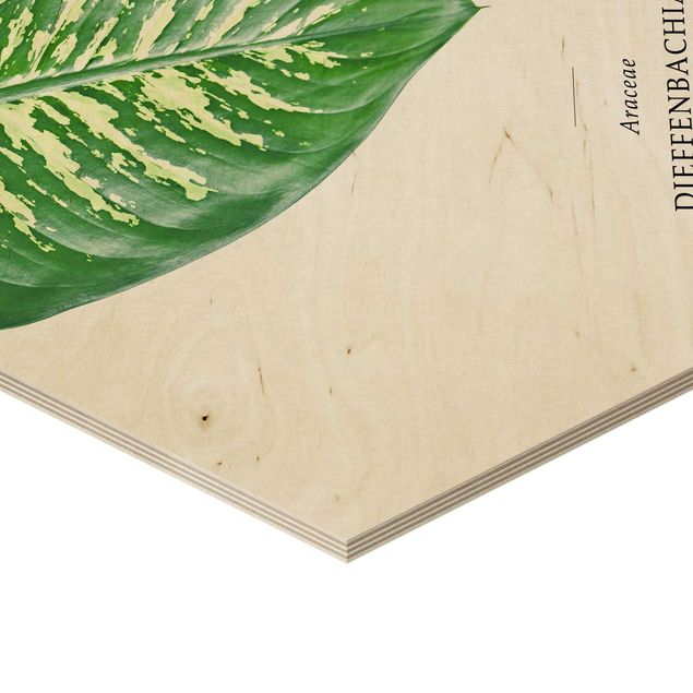 Obraz heksagonalny z drewna 3-częściowy - Liście tropikalne