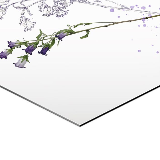 Obraz heksagonalny z Alu-Dibond 4-częściowy - Zestaw akwareli botanicznych I