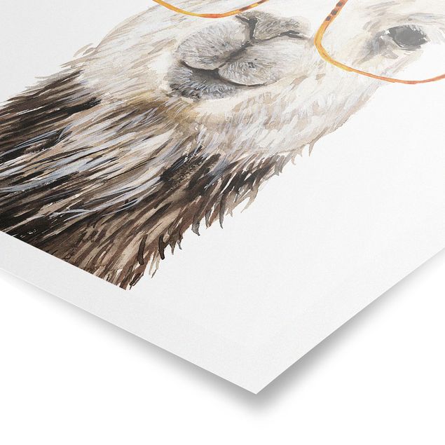 Obrazy zwierzęta Hippy Llama w okularach IV