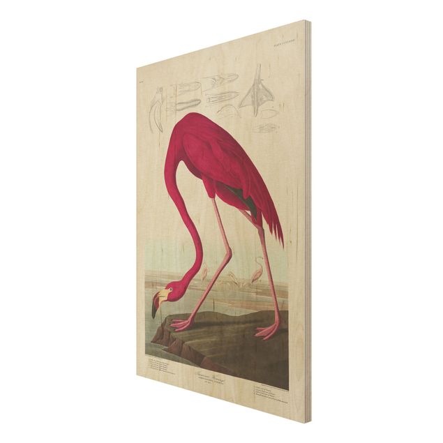 Obrazy drewniane Tablica edukacyjna w stylu vintage Flaming amerykański