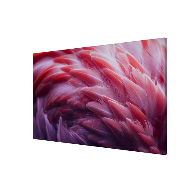 Obrazy nowoczesne Zbliżenie na pióra flaminga